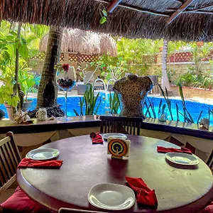 3* Hotel Cocos Adults Only